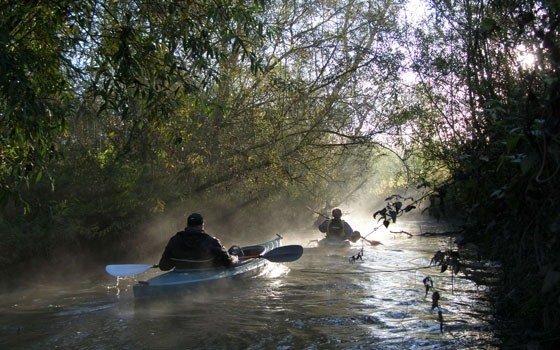 People strolling through the Biesbosch in a canoe