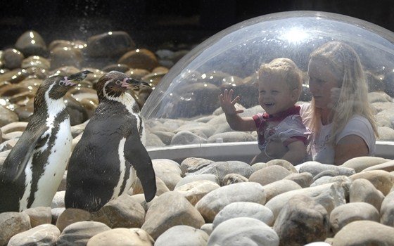 Unangolo dellOuwehands Dierenpark, il parco zoologico di Rhenen (www.holland.com)