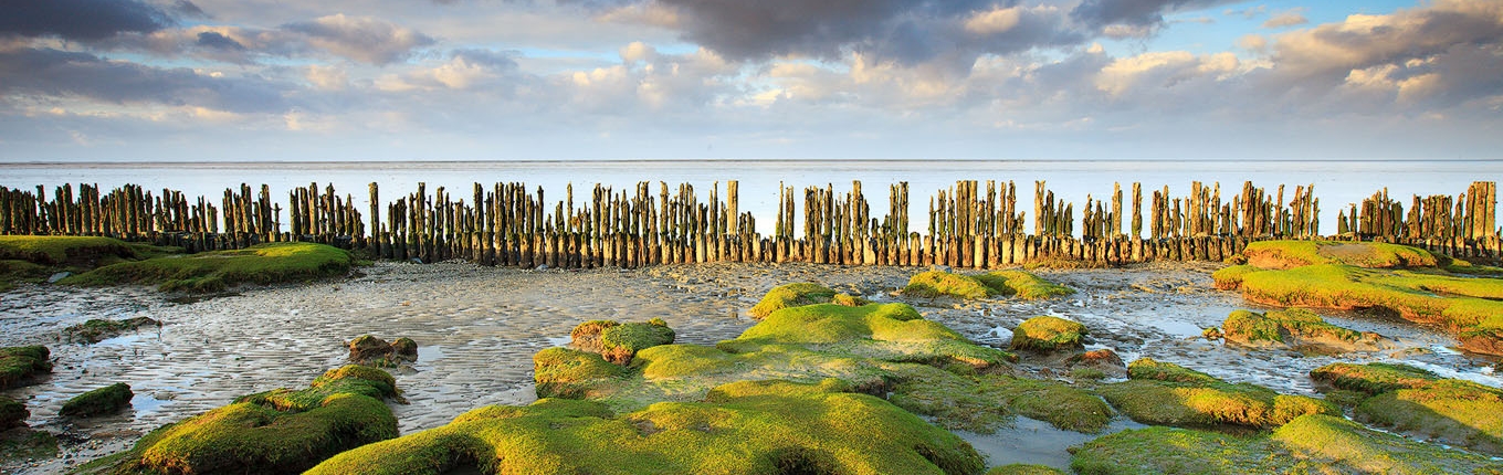 Groningen wadden sea coast at low tide