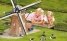 Madurodam