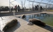 アザラシのリハビリセンターとレニー・ヘットハルト研究センター