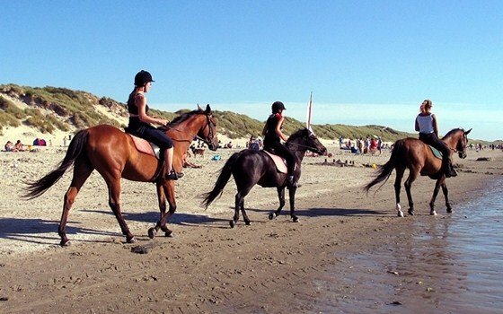 Woman riding their horses on the beach