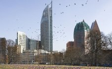 建築
