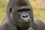 ベークセベルゲン・サファリパーク