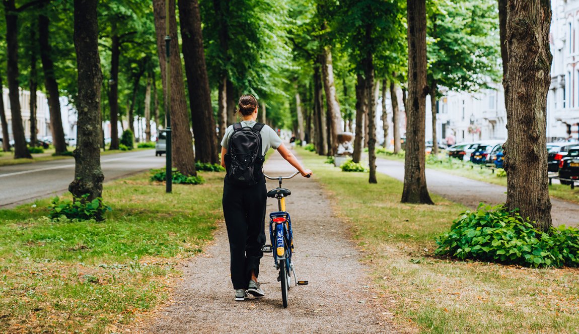 Utrecht Maliebaan walking with bicycle between the trees