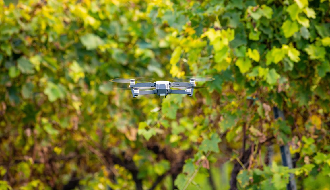 Smart agriculture controlled by drone over wine vineyards FreeProd33