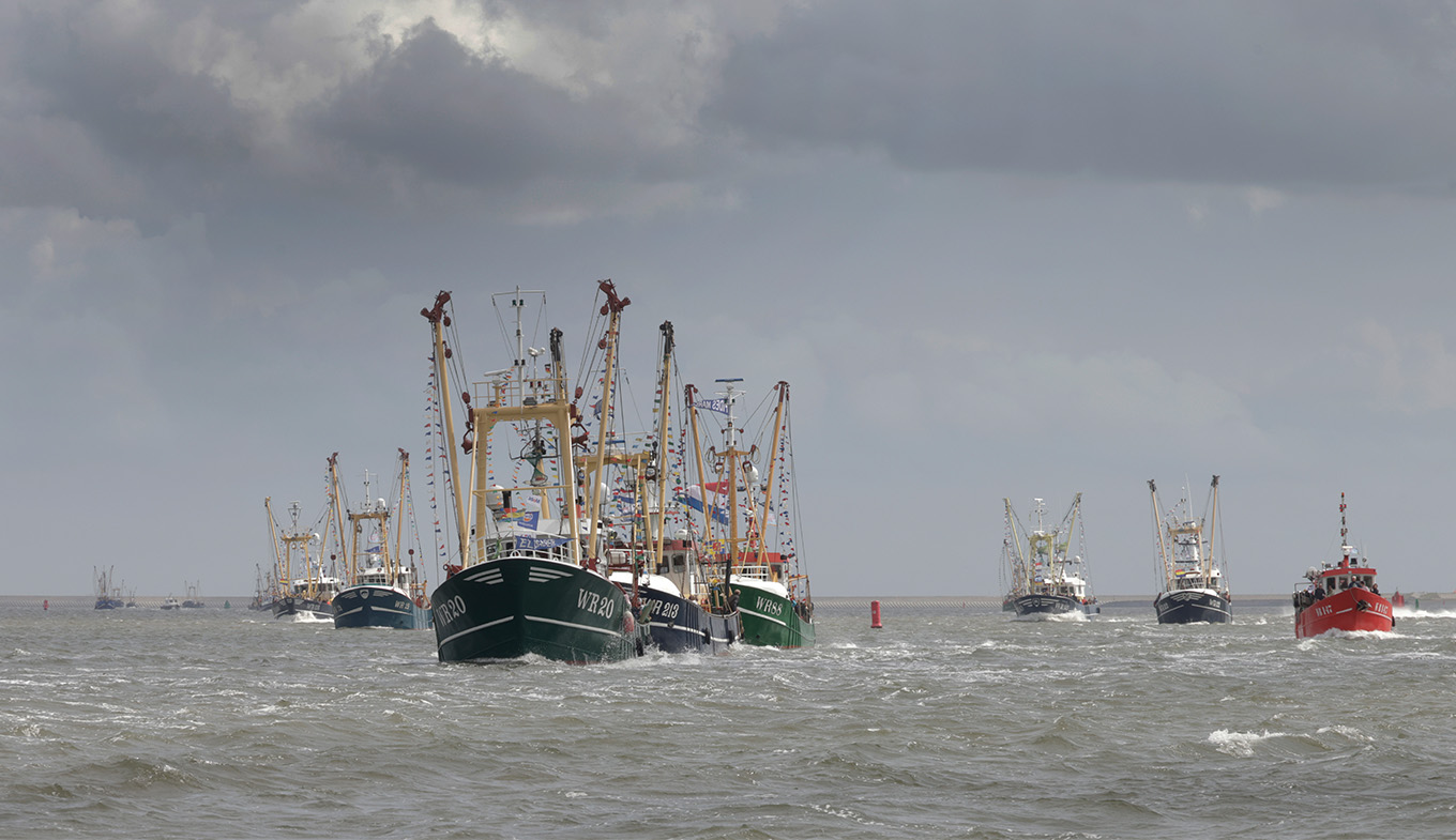 Shrimp boats at sea