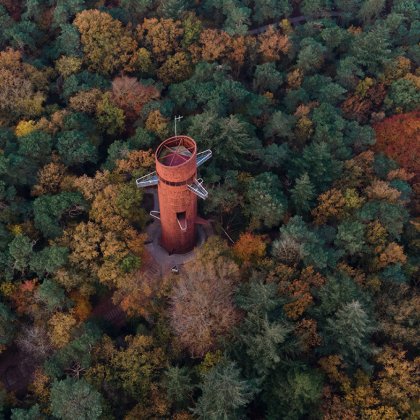 Bosbergtoren Appelscha in fall in Friesland