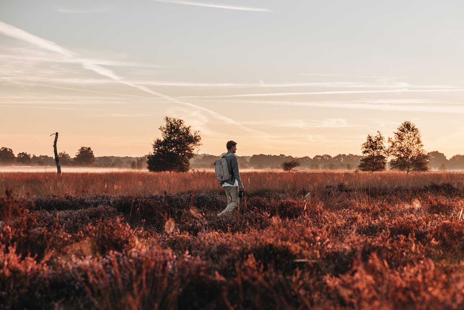 Walking across the Balloervelder heath with backpack