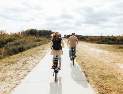 Van Gogh Drenthe cycling in the Bargerveen