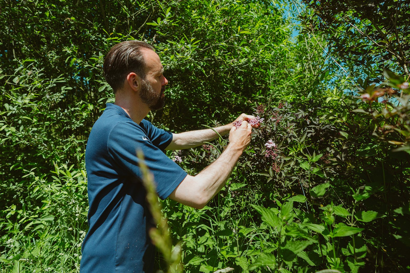 Emile van der Staak De Nieuwe Winkel in his food forest Emile van der Staak De Nieuwe Winkel in his food forest