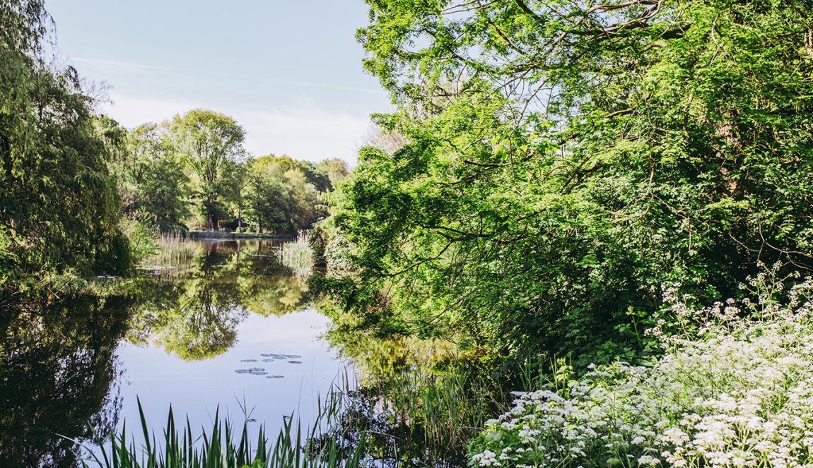 Groningen City Park