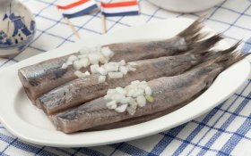 Hasil gambar untuk herring in netherlands