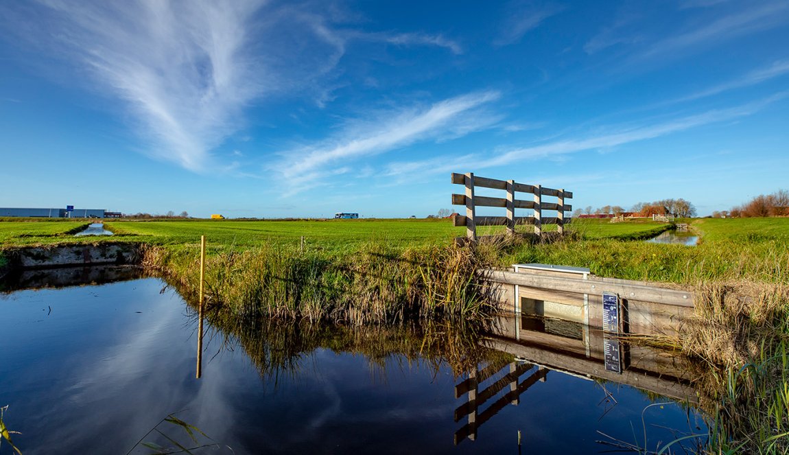 Friesland Veenweideprogramma