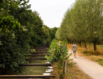 Hiker enjoys nature Tilburg