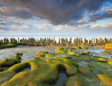 Groningen wadden sea coast at low tide