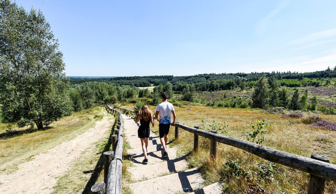 Couple walks down stairs in the Kwintelooijen nature reserve, part of the Heuvelrug