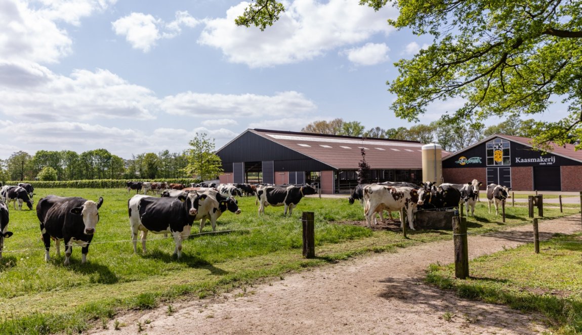 Farm tour at Weenink