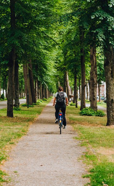 Utrecht Maliebaan cycling between the trees Utrecht Maliebaan cycling between the trees