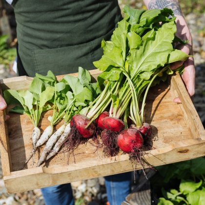 Niels van Zijl works primarily with local produce and fresh vegetables Niels van Zijl works primarily with local produce and fresh vegetables